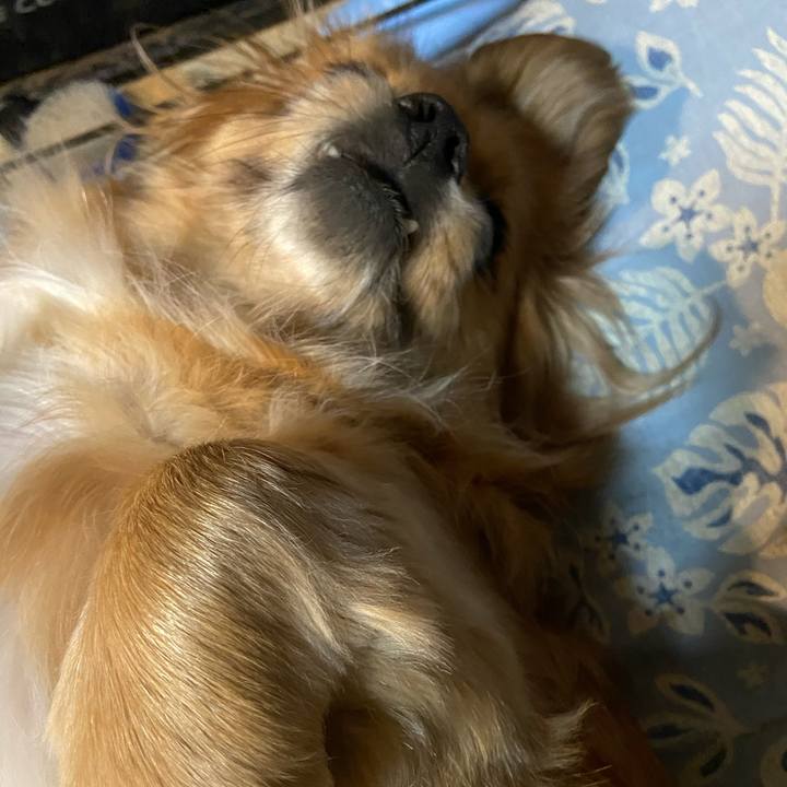 C7010ab9 3e27 48dd 8bd5 1e36524e0a1e 1611005556026