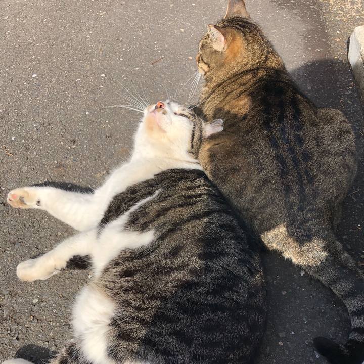 C7010dc3 dc3f 45f7 88c8 0cb1832661c7 1579853826252