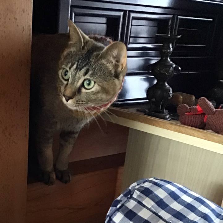 C7011ed8 5aac 4f25 872e d6eacad9e3f5 1623653327650