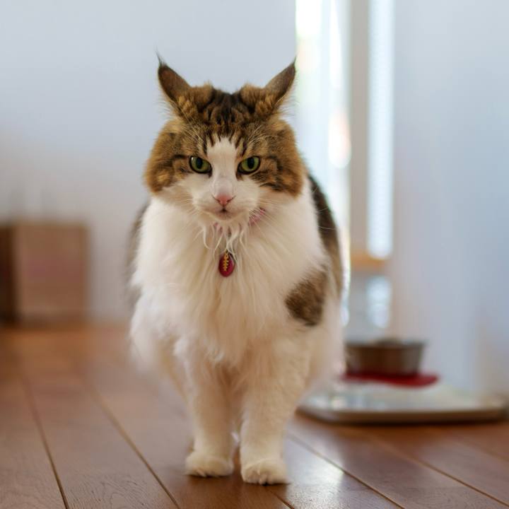 C7015354 2442 466e 957c 954f7be39dd4 1767177501691