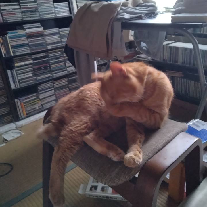 C70163e8 b66d 4596 ae47 cf12173d9280 1723241349091