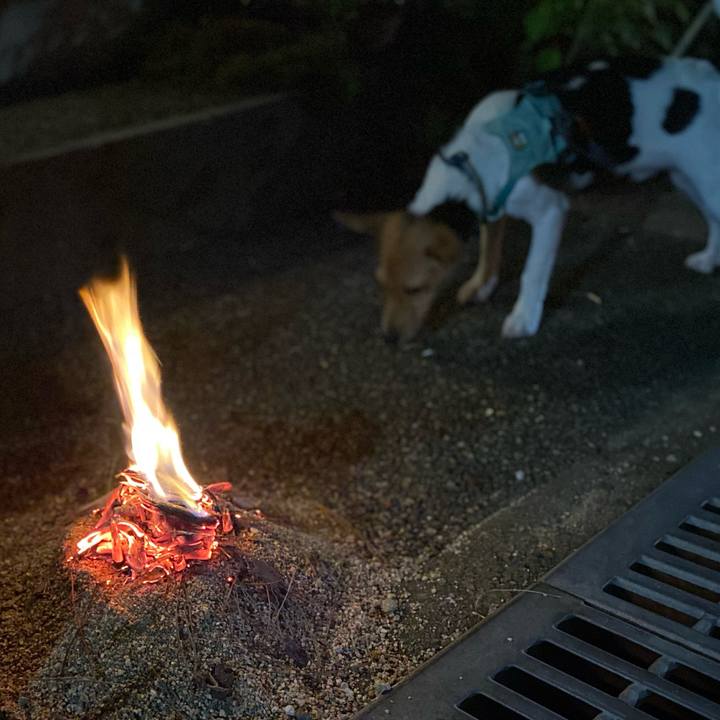 C7016a68 dc80 437c 8bf9 20eafeb45f51 1755352124448