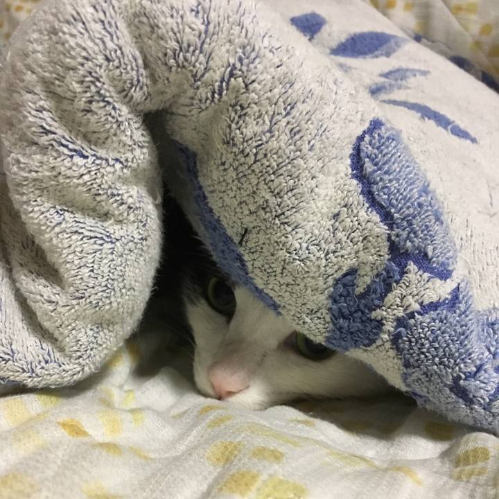 C7017544 ff82 4198 b83b 12a9990df311 1520258495651