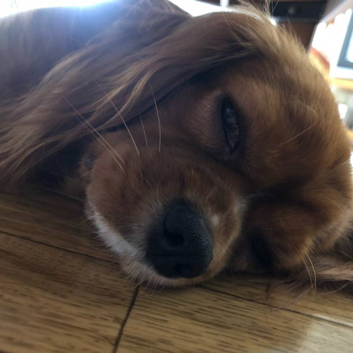 C7017e86 c91c 4666 99e4 7a46fabd08f2 1528754572762