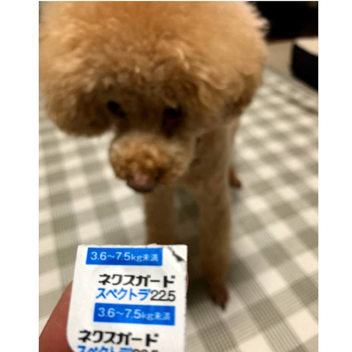 C7018127 f039 4819 91f2 568be416fb73 1596283589697