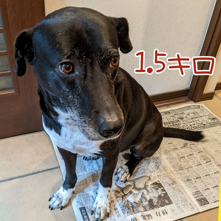 C701d50d 0e02 4799 a02d 0cac95ca86f0 1708474961587