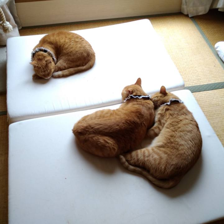 C701e76d 0c87 41b9 99ad 30bd37403257 1601007814928