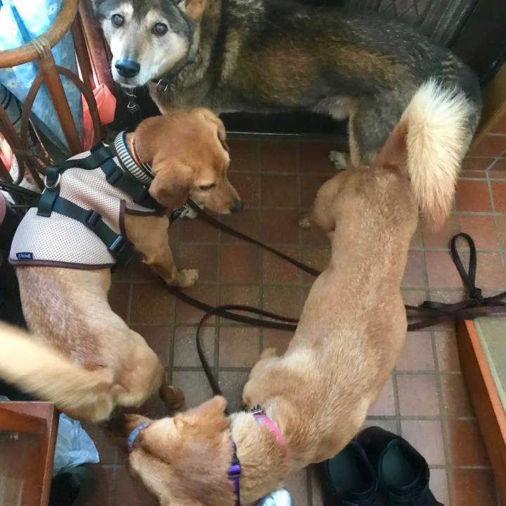 C7020bf3 d6b1 4658 9d5f bab3b82dc336 1523605646673