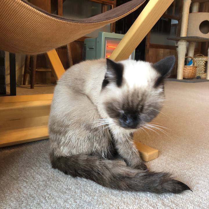 C7022810 0602 4a2a bd7c b2a2134598f4 1604201118285