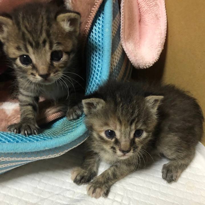 C7024a19 b274 4b6a 9132 67f5f67bc663 1587360321077