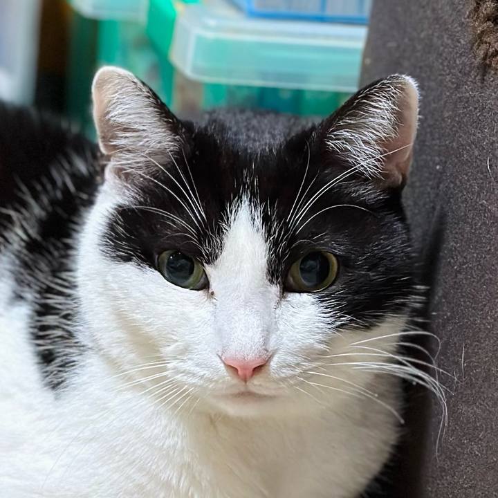 C70289b2 90a8 4df1 802a 3b0b299af0d6 1708392550599