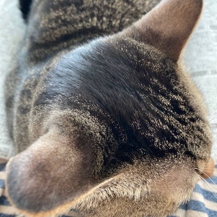 C702b977 dcb1 4661 ad6a 16594287aaa6 1765925133609