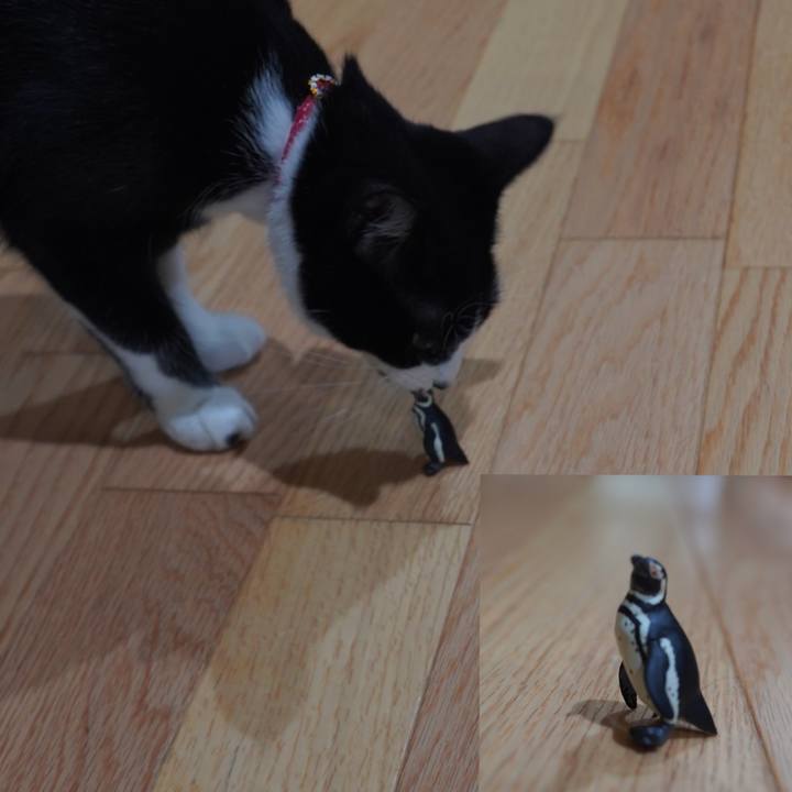 C702d9ea 908f 4af3 a984 85969ac6d5c8 1598880513576