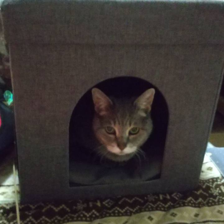 C702daa6 4acb 4412 a59c 586a2c0fd084 1681128755027