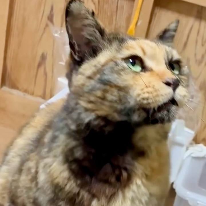 C702e231 2672 4eb1 b2c1 84da9bf4b27b 1746005963614