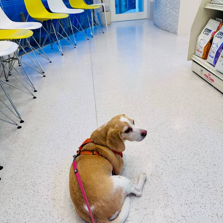 C7030693 2ab4 44f5 b481 6668c341c456 1701761282286