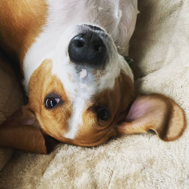 C70321b3 b6ad 4f40 8e68 043b5c009d2f 1578408594548