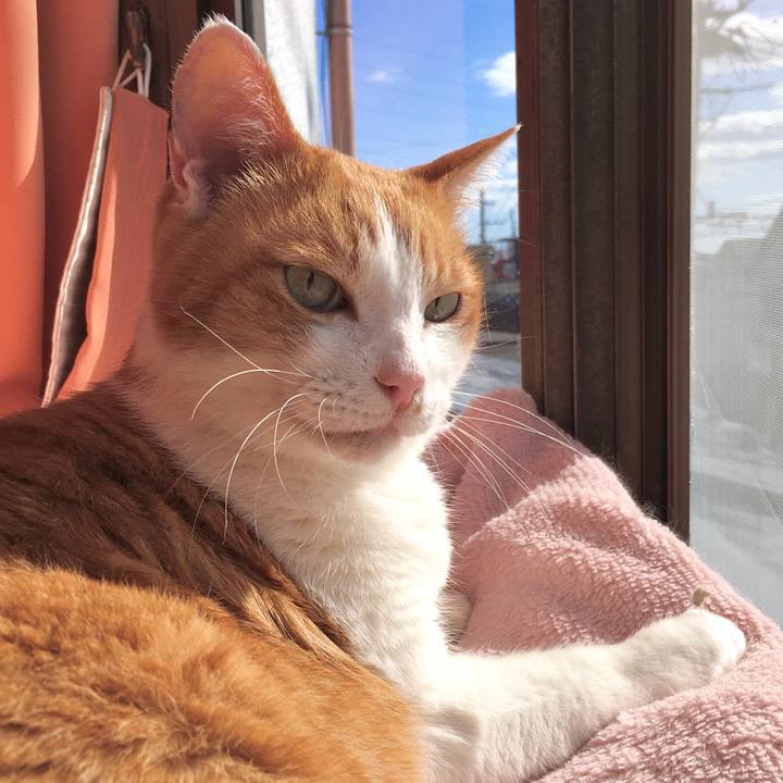 C703328d 1e22 4391 ba46 adf016f6e832 1573186387058