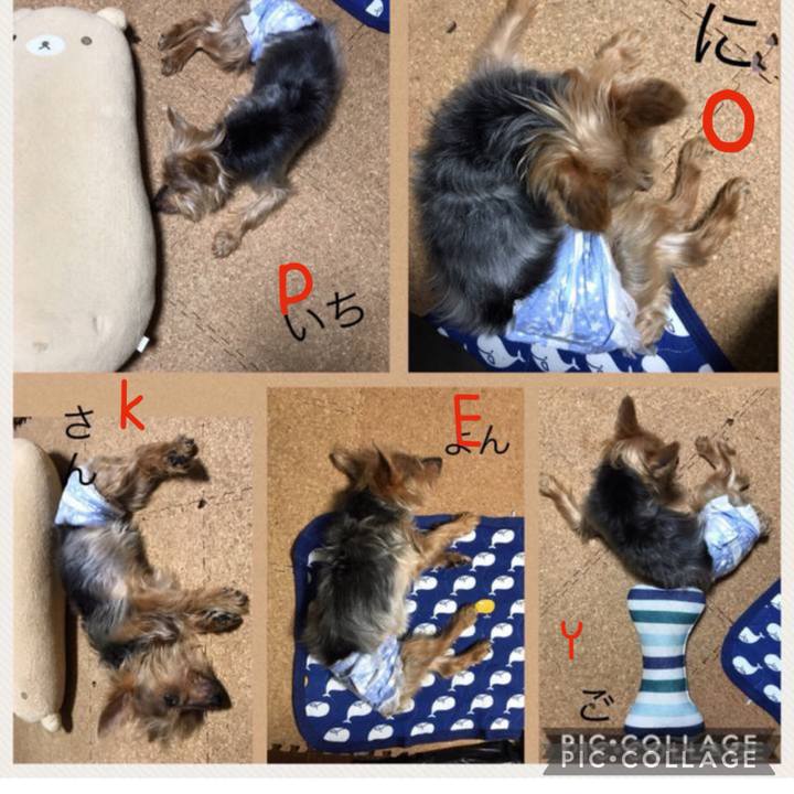 C7035bd7 0ad0 4a29 8503 d35781c4123c 1727592684051