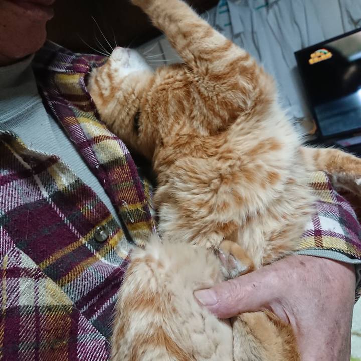 C7035d87 1f7a 4a62 a21a df2000fa86d1 1639395531642