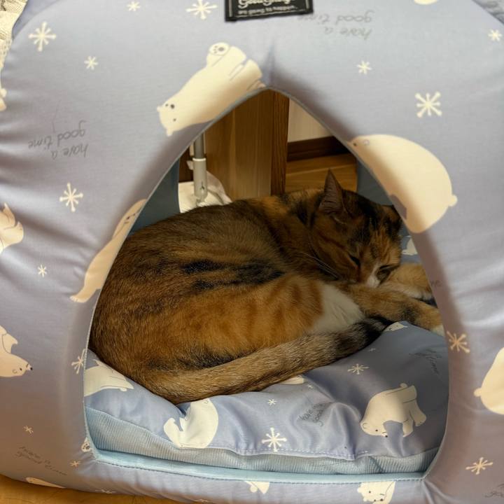 C703973f d5b4 4886 8533 1191c14e4fe3 1749512814228