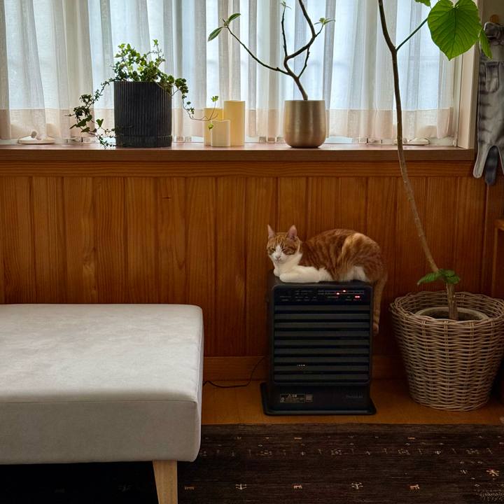 C704424f 83e7 45a9 839c 42beca6733f5 1771983982632