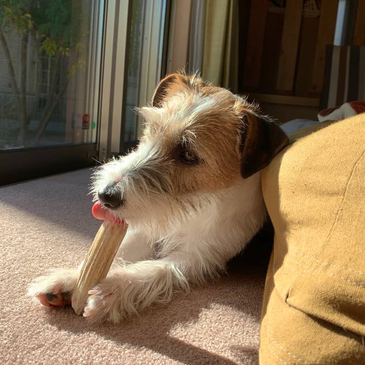 C7045041 9c9a 4908 91d8 80c560b983c1 1580274970229