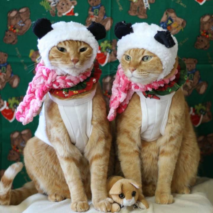 C70451fb 1473 412f 80ce 3d155d0bf3fc 1513746679517