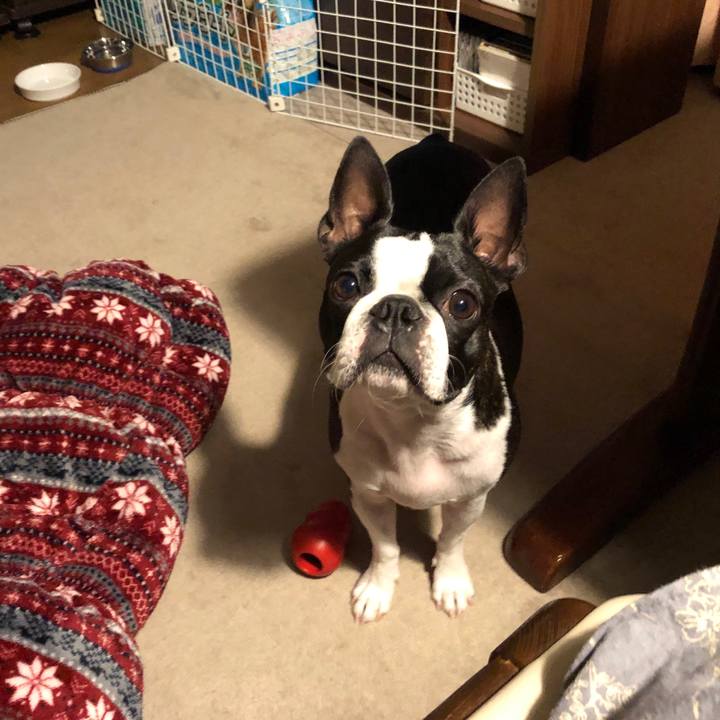 C704592e 8bca 4d2f 9ef8 c299e943e388 1577967291427