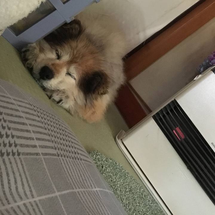 C7047860 a1af 4463 98e5 42ef4eb65468 1625012835833