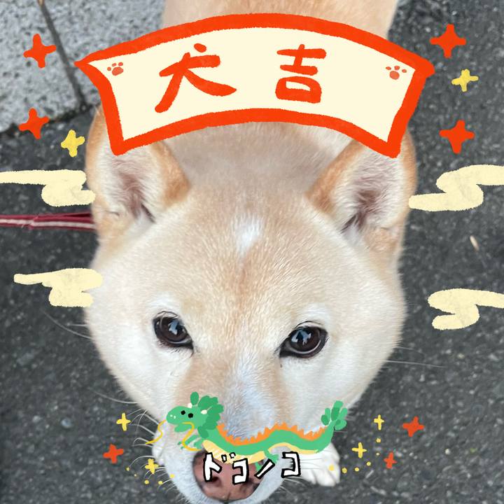 C705067e db06 408c 91eb 8de55776af9a 1704076910348