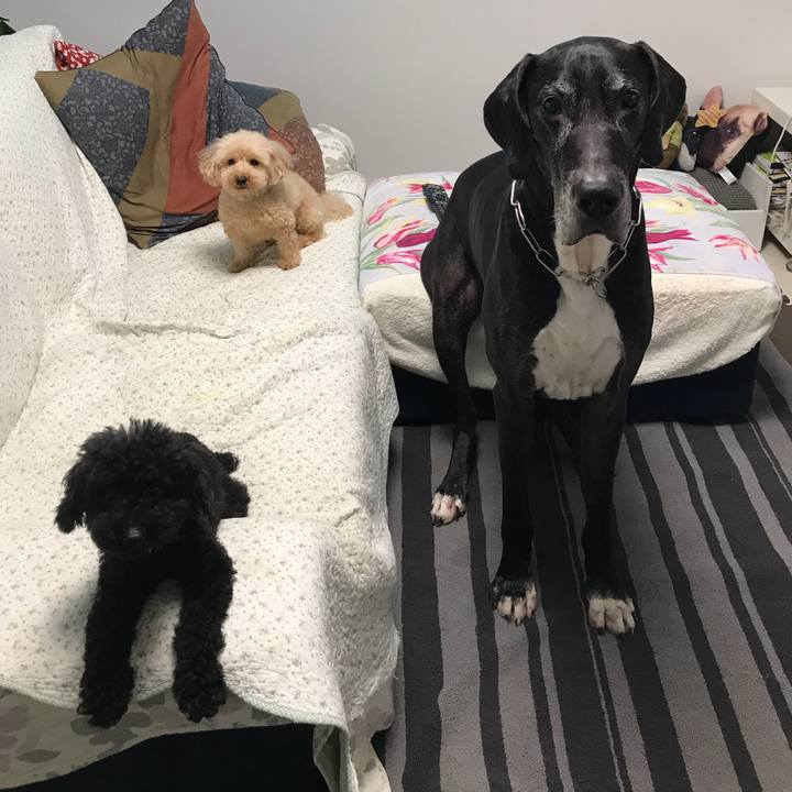 C70534f6 0781 43e4 9293 ea8246e0cc31 1535410193589