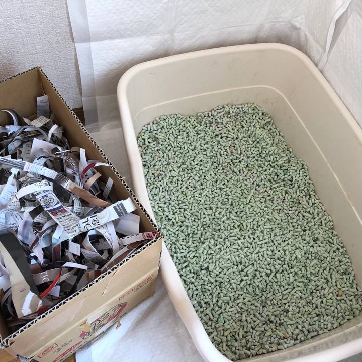 C70569ae c20a 4db8 ad7f 3c27bd0a455a 1587254120591