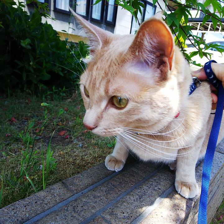 C705781a 5621 48cc 89ad 56c155e9fb49 1559964339146