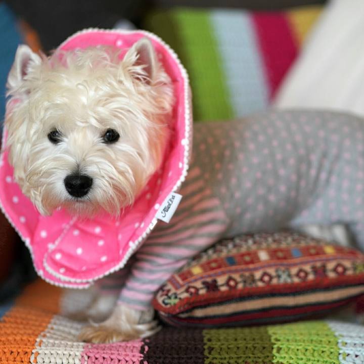 C7058a3b 2333 4b37 9e07 ca90fc0b3fdf 1513074843974