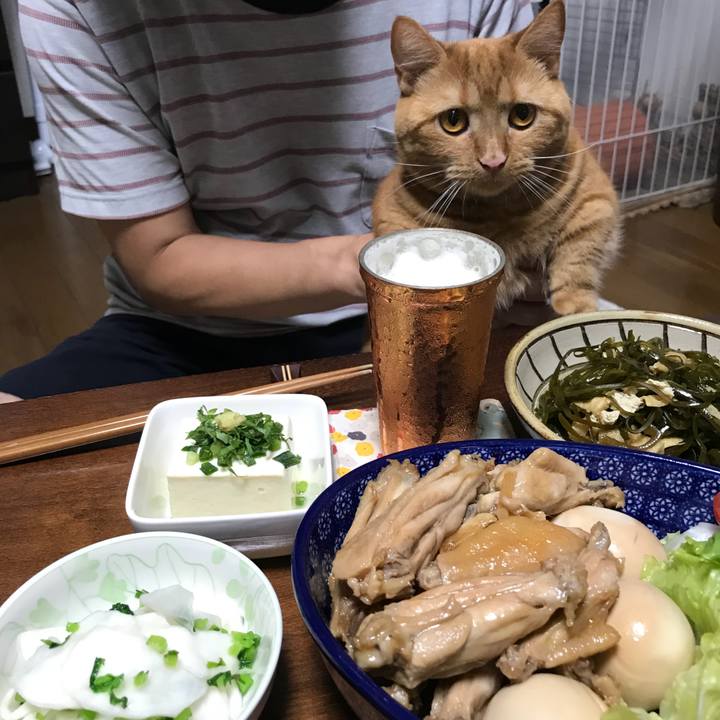 C7059246 5059 4703 ae8e 920646124356 1530704438691