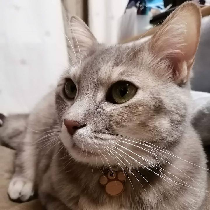 C705b9ea a25c 40aa 948d e3d0bd0543a5 1580357977732