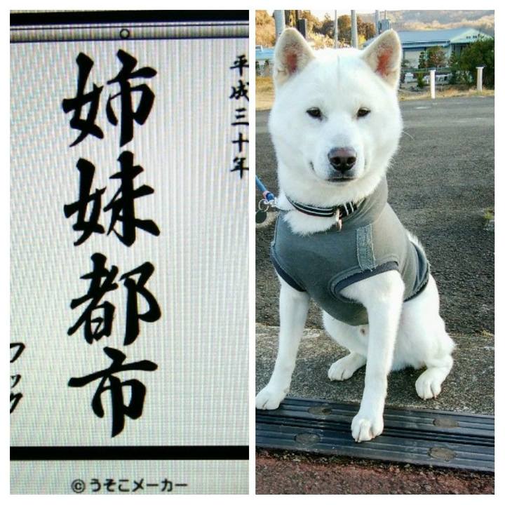 C705d165 1dc8 4160 a875 5a2f994077ae 1515290609126