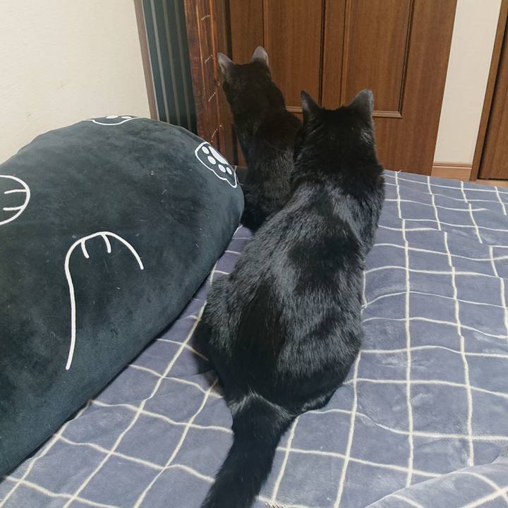 C705ded9 d865 4849 9d84 8d8c612797cb 1651795580803