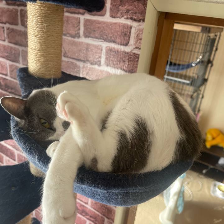 C70637c7 0372 45db a5af f344024bdabc 1667088076628