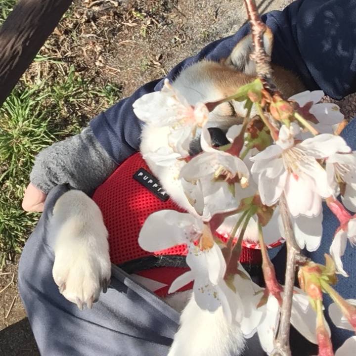 C70691a0 2b42 453b 856b fee196452ee5 1585129917861