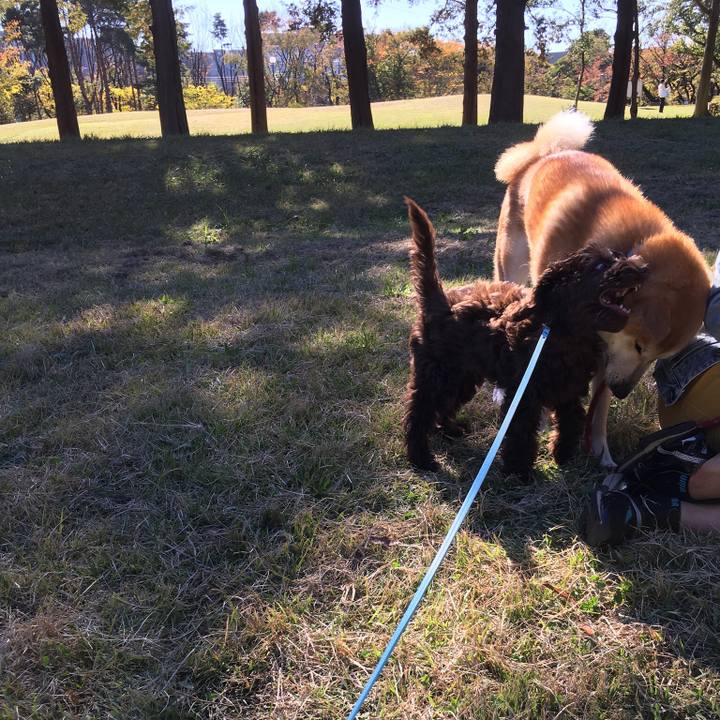 C706f0c4 4886 4bf6 9489 2d03c0667e5d 1542508781857