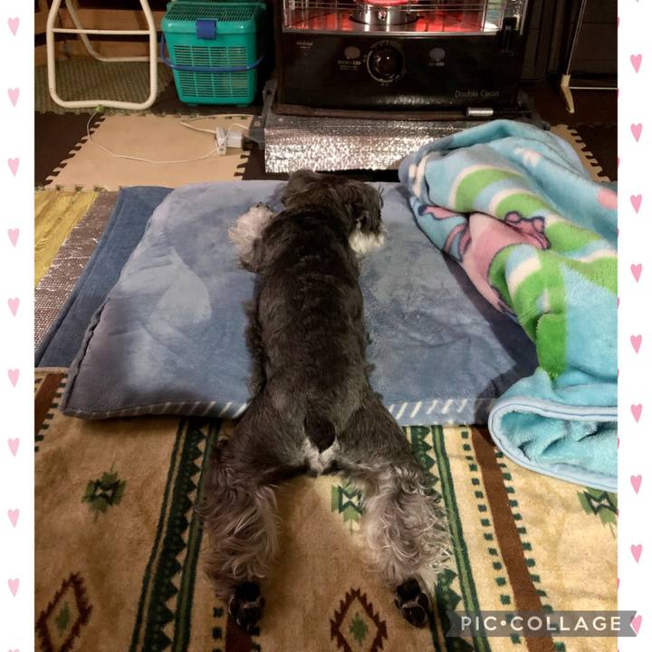 C706f233 3641 446e a3d7 5dc3acfaa7e8 1681549779908