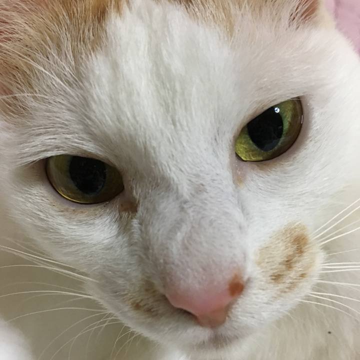 C7071e4d d839 4c7a b5e9 2ea76e05cf03 1527922458489