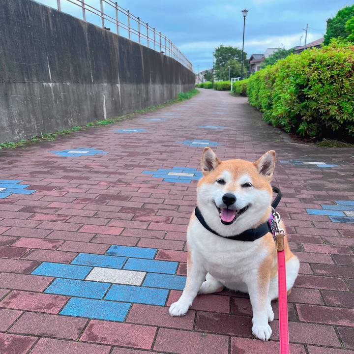 C7071eca ebc0 4f8b 9619 7da6a83ce7cf 1684552233022