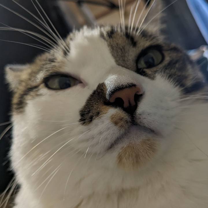 C7073e2f a0ab 4bcf 9ec0 9eb6fab70760 1700781593398