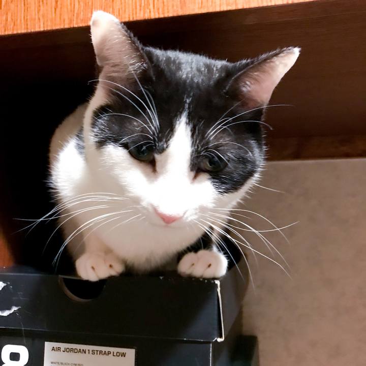 C707436f 14ed 4e15 bc1c 27cf128a5b4e 1518533250847