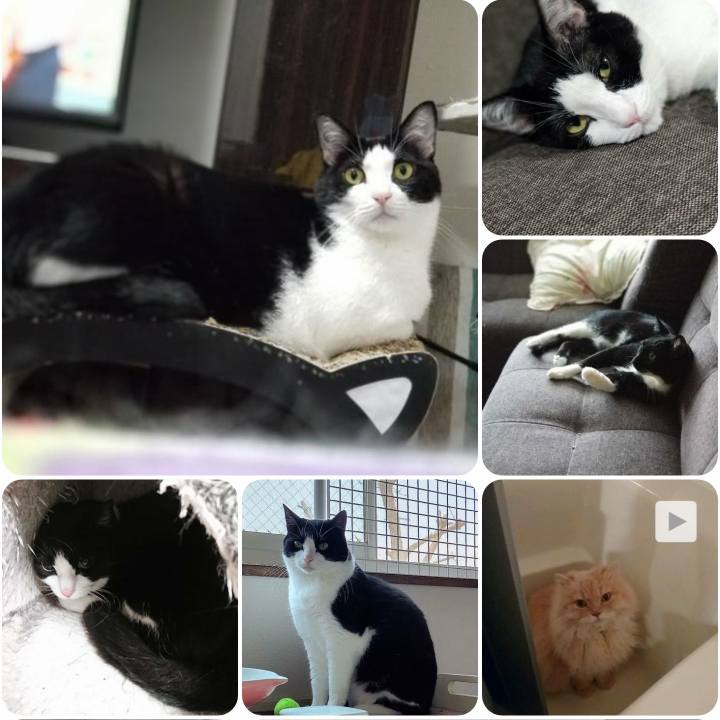 C7076f1e e79e 4243 858d c517e7fd7788 1560259811000