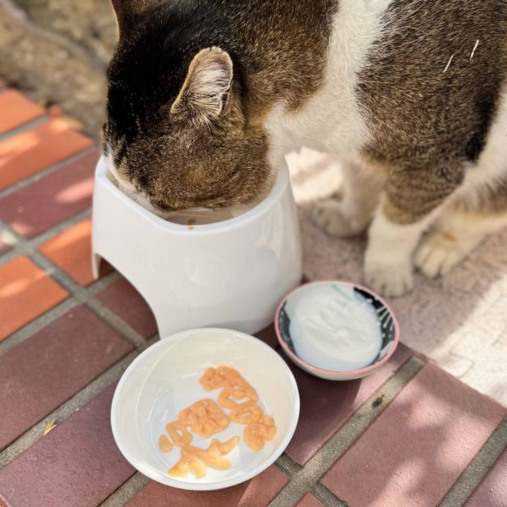 C707add4 68d9 4a77 997e 8e454c38e59c 1767235706091