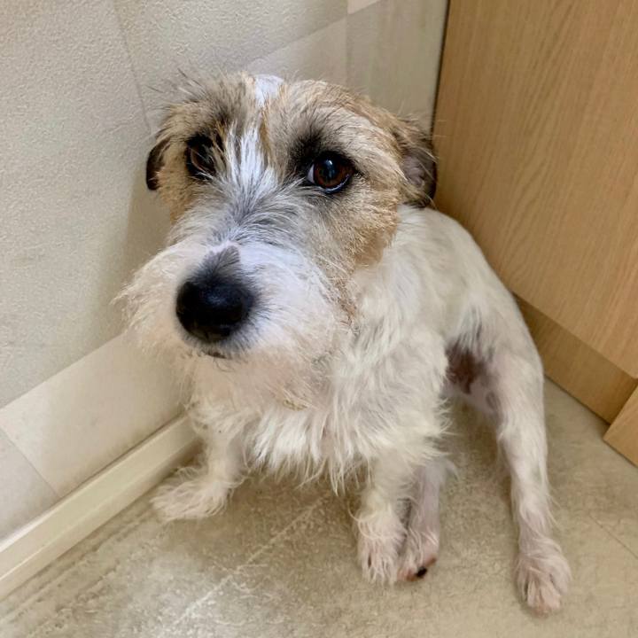 C707bad9 ac1b 4958 b231 b56c6b412a7a 1623112912879